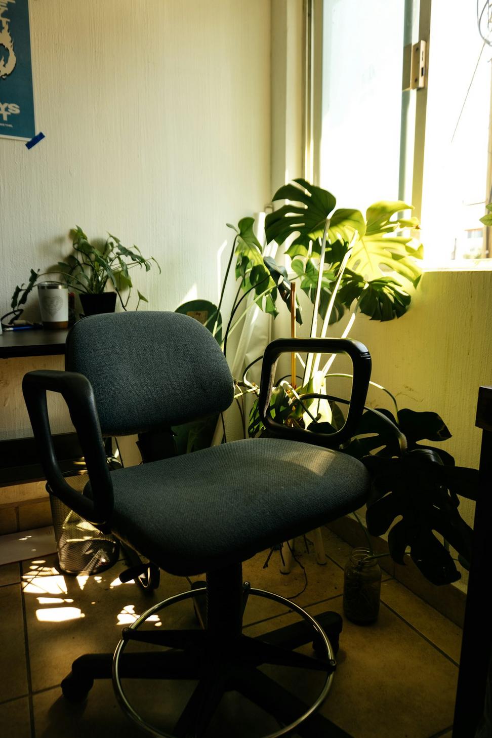 Eco-Wellness Center